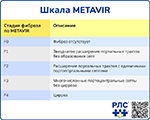 METAVIR scale, превью