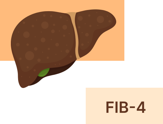 Индекс FIB-4